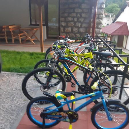 Hotel Sobe Gmitrovic Rtanj Zewnętrze zdjęcie
